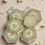 Destash: 700 conchas de cera derretida