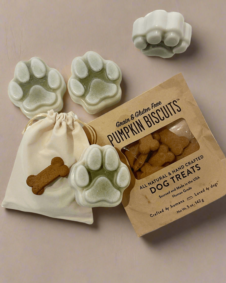 Ginger’s Gentle Paw Shampoo | New Formula! - Beekeepers.Wife