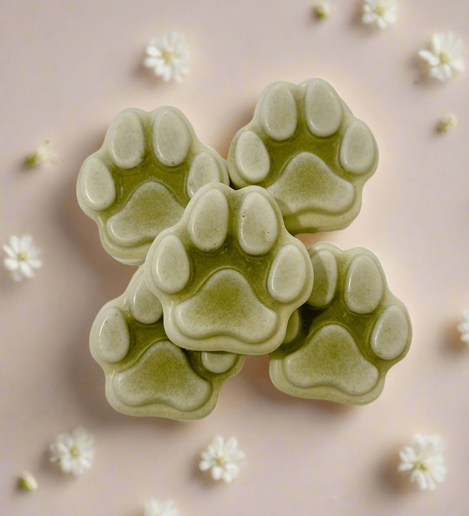 Ginger’s Gentle Paw Shampoo | New Formula! - Beekeepers.Wife